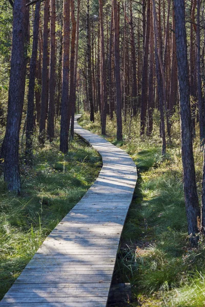 Poleski Park Narodowy Polsce Lubelskie Polska — Zdjęcie stockowe