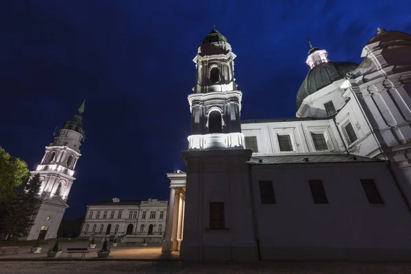 Bazylika Narodzenia Najświętszej Maryi Panny Chełm Polska Chełm Lubelskie Polska — Zdjęcie stockowe