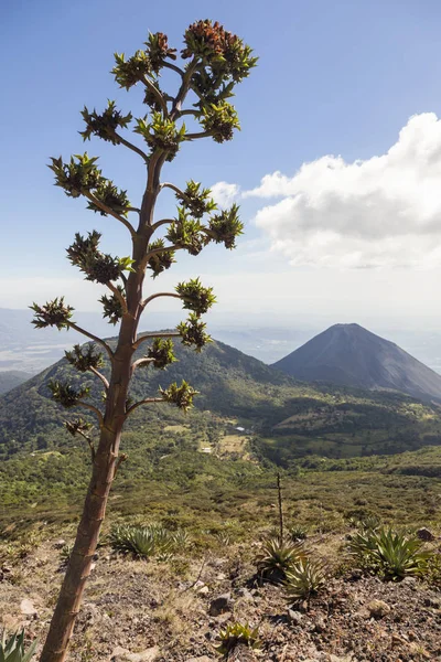 Ηφαίστειο Izalco Στο Σαλβαδόρ Σάντα Άνα Σαλβαδόρ — Φωτογραφία Αρχείου