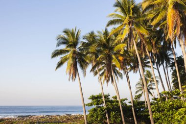 El Tunco Beach Salvador