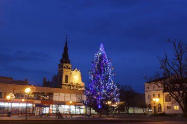 Tarnobrzeg Noel