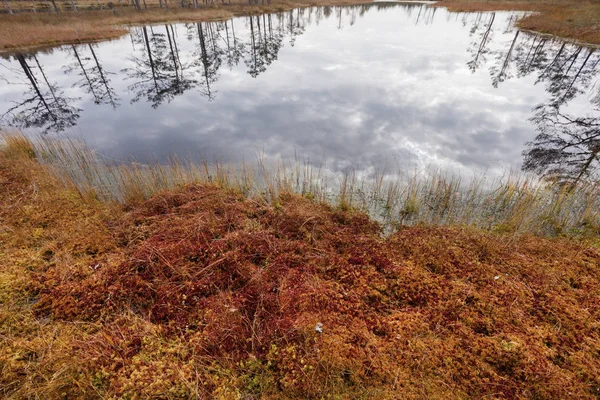 Parque Nacional Lahemaa en Estonia —  Fotos de Stock