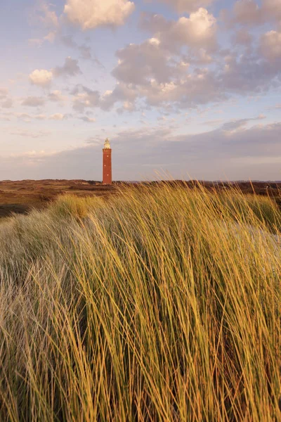 Westhoofd Leuchtturm in den Niederlanden — Stockfoto