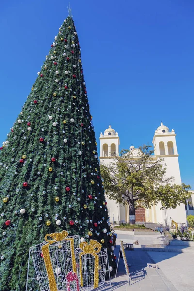 Catedral de San Salvador e árvore de Natal na Plaza Barrios — Fotografia de Stock