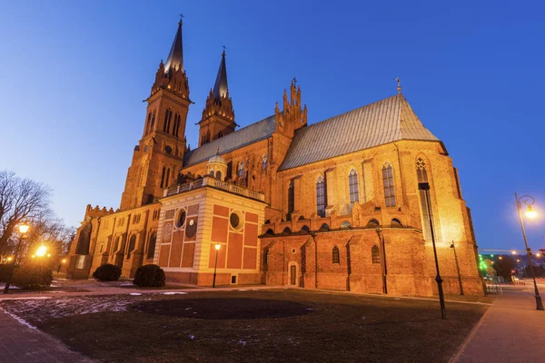 Собор Святой Марии Успенской во Влоклавеке — стоковое фото