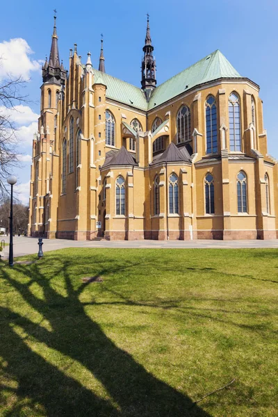 Katedra ochrony Najświętszej Maryi Panny w Radomiu — Zdjęcie stockowe