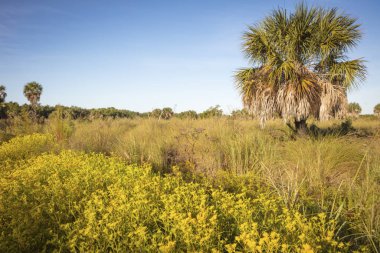 Güzel Sanibel Adası