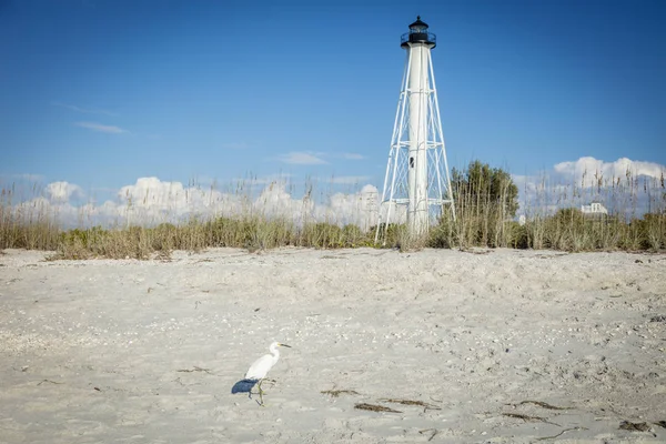 Little Egret and Gasparilla Island Lighthouse — Stock Photo, Image