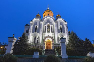 Nativity Church in Tiraspol clipart