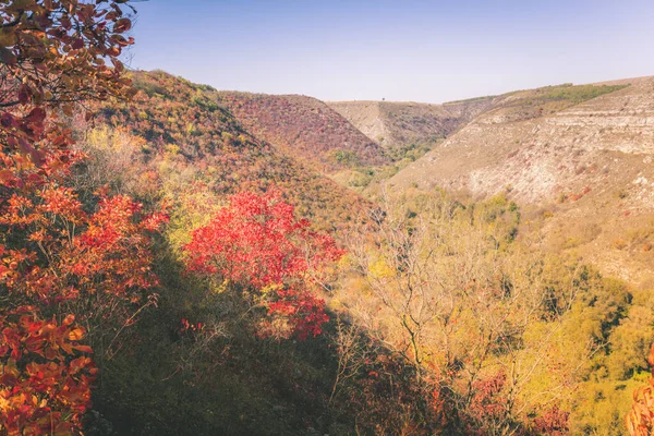 Panorama de Tipova — Fotografia de Stock