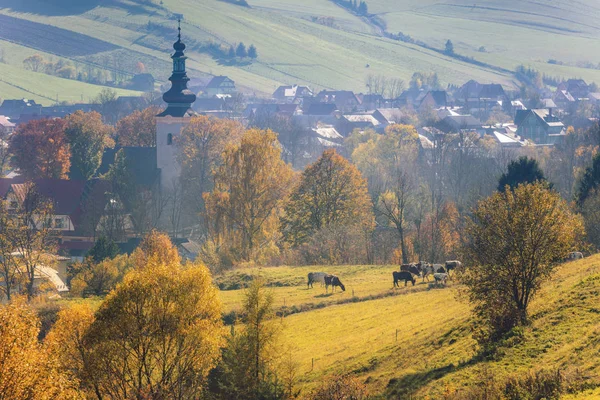 Kirche in Kacwin — Stockfoto