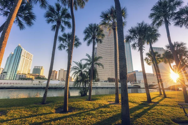 Centro città di Tampa — Foto Stock