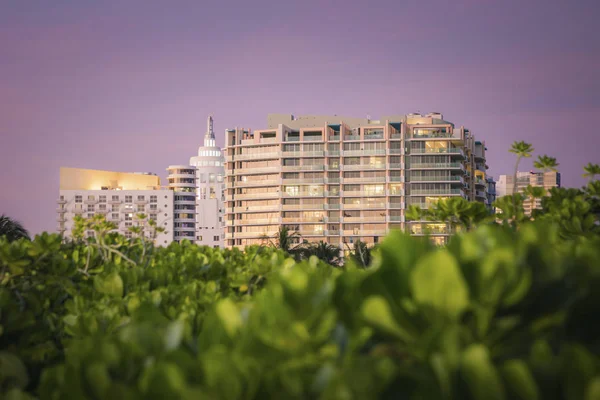 Miami beach arkitekturen — Stockfoto