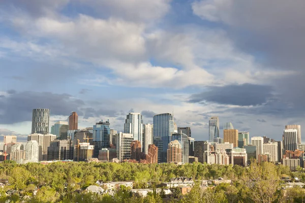 Calgary Şehrin Manzarası Calgary Alberta Kanada — Stok fotoğraf