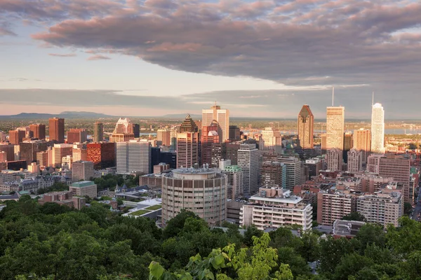 Πανόραμα Του Μόντρεαλ Ηλιοβασίλεμα Montreal Quebed Καναδάς — Φωτογραφία Αρχείου