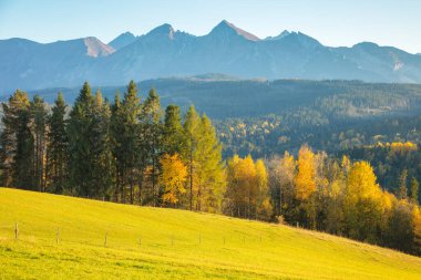 Lapszanka Geçidi 'nden görülen High Tatras. Lapszanka, Polonya, Polonya.