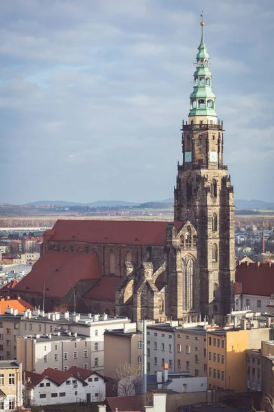 Katedrála Stanislava Václava Švédnici Swidnica Dolní Slezsko Polsko — Stock fotografie