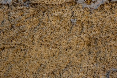 İnşaat için sarı kabuklu tuğla dokusu