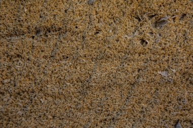 İnşaat için sarı kabuklu tuğla dokusu