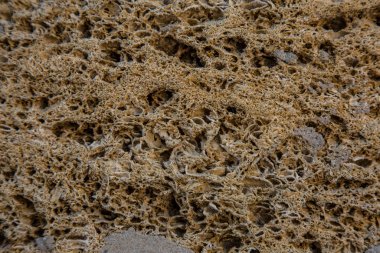 İnşaat için sarı kabuklu tuğla dokusu