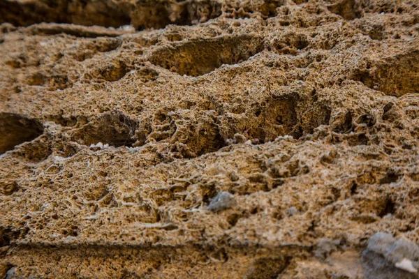 Yellow Shell Shell Brick Texture Construction — Stock Photo, Image