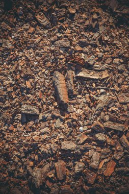 Kahverengi yaşlı ağaç kabuğu gün boyunca yerde yatar..