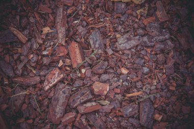 Kahverengi yaşlı ağaç kabuğu gün boyunca yerde yatar..