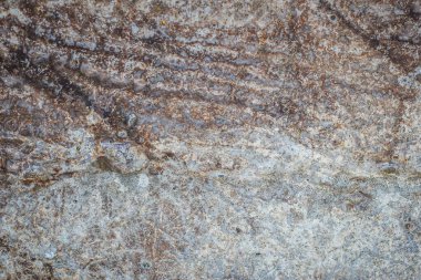 Çatlak ve eklemli eski korkunç beton bir duvarın dokusu.