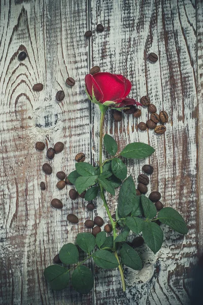 Mooie Rode Roos Een Oud Vintage Oppervlak — Stockfoto
