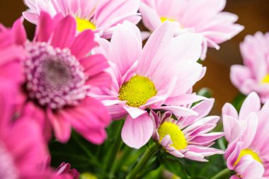 Güzel farklı renkler, bir bukette beyaz, kırmızı ve pembe hediye veya dekorasyon için çok yakındır.