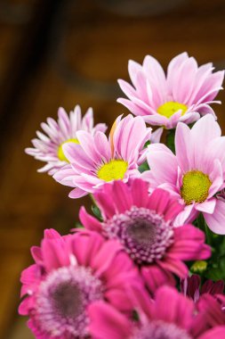 Güzel farklı renkler, bir bukette beyaz, kırmızı ve pembe hediye veya dekorasyon için çok yakındır.