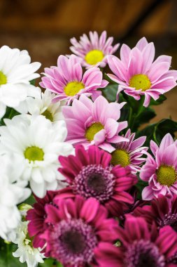 Güzel farklı renkler, bir bukette beyaz, kırmızı ve pembe hediye veya dekorasyon için çok yakındır.