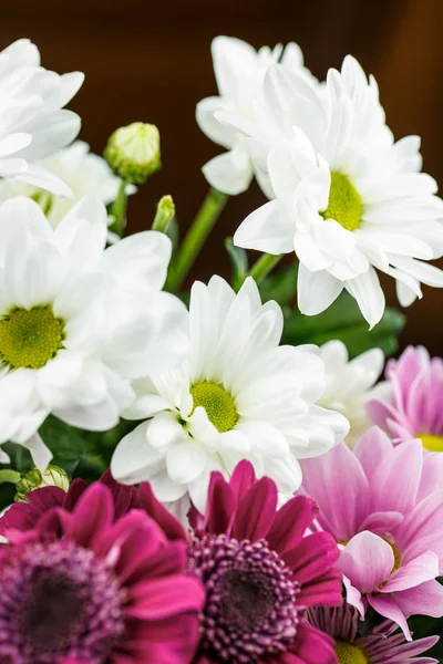 Vackra Olika Färger Vit Röd Och Rosa Bukett Mycket Nära — Stockfoto