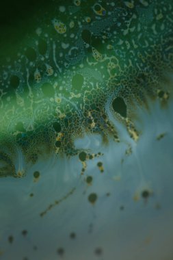 Sabun köpüğü soyutlaması hareket ve farklı renklerle çok yakın