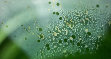 Sabun köpüğü soyutlaması hareket ve farklı renklerle çok yakın