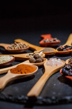Farklı baharatlar, biberler, kişniş, susam tohumları ve yemek pişirmek için diğerleri siyah arka planda tahta kaşıklarda.