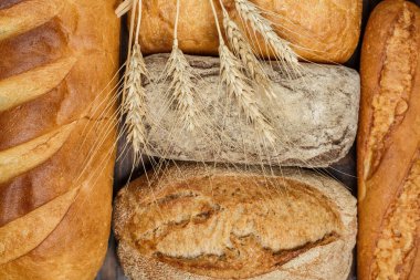 Farklı somun ekmeği ve rulo ekmeği tahtadan bir masa üzerinde un ve buğdayla.