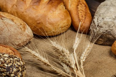 Tahta bir masada farklı somun ekmeği, buğday, un ve glüten.