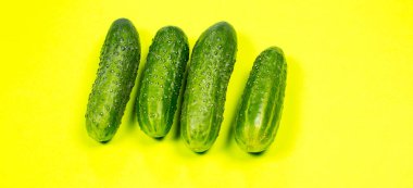 Yeşil arka planda taze yeşil salatalıklar