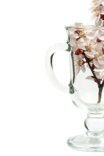 Blooming Branch Flowers Glass Mulled Wine White Background — Stock Photo, Image