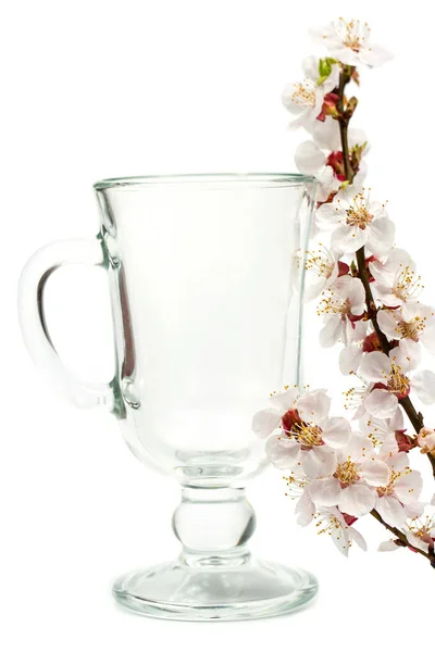 Blooming Branch Flowers Glass Mulled Wine White Background — Stock Photo, Image