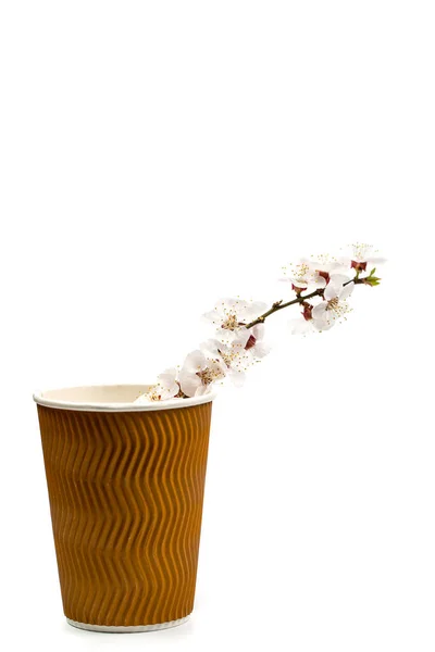 Ramo Florido Com Flores Uma Xícara Papel Para Café Aromático — Fotografia de Stock