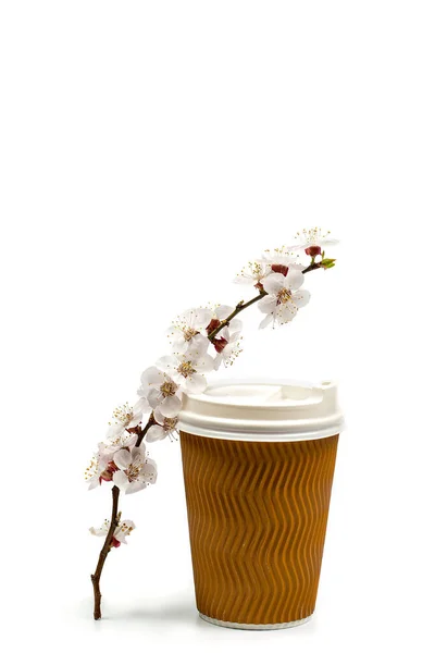 Bloeiende Tak Met Bloemen Een Papieren Kopje Voor Aromatische Koffie — Stockfoto