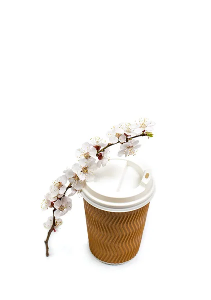 Blühender Zweig Mit Blumen Und Pappbecher Für Aromatischen Kaffee Auf — Stockfoto