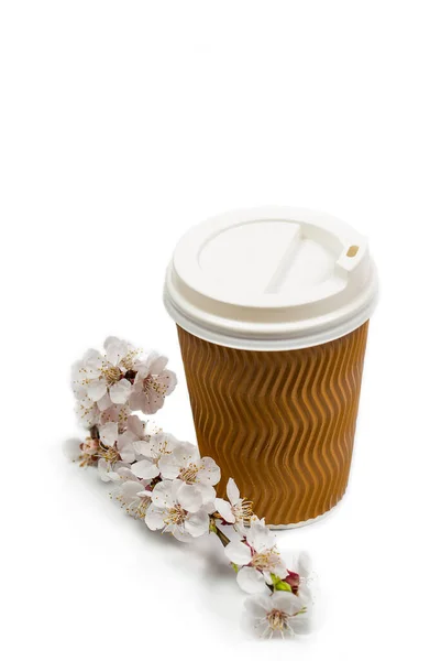 Ανθισμένο Κλαδί Λουλούδια Και Χάρτινο Κύπελλο Για Αρωματικό Καφέ Λευκό — Φωτογραφία Αρχείου
