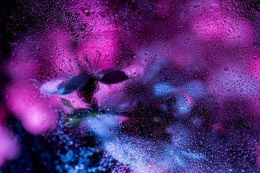 Pembe ve mavi renkte ıslak ya da sisli cam dokusu.