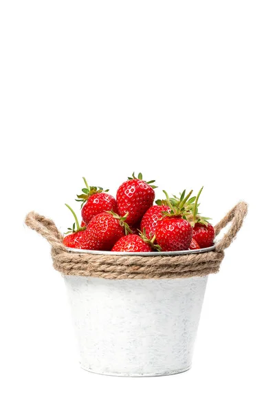 Erdbeeren Einem Weißen Eimer Auf Weißem Hintergrund — Stockfoto