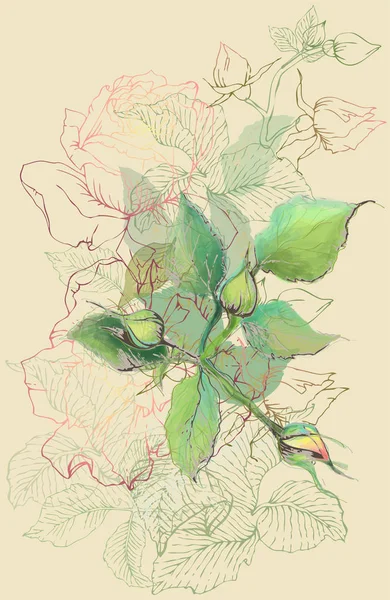 장미 꽃 봉 오리 그림입니다. 로즈 인사말 카드입니다. 아름 다운 놓았던 — 스톡 벡터