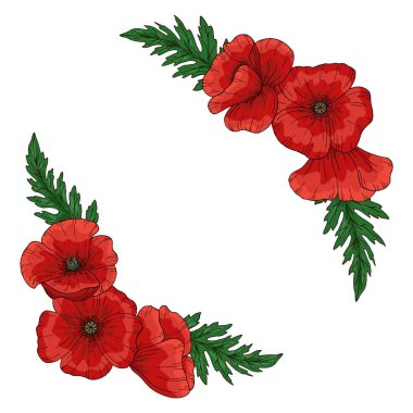 Kırmızı gelincik çiçekli yaz çerçevesi. Papaver. Yeşil saplar ve yaprak. Tasarım için bir takım elementler. El çizimi vektör çizimi. Beyaz arkaplanda izole.