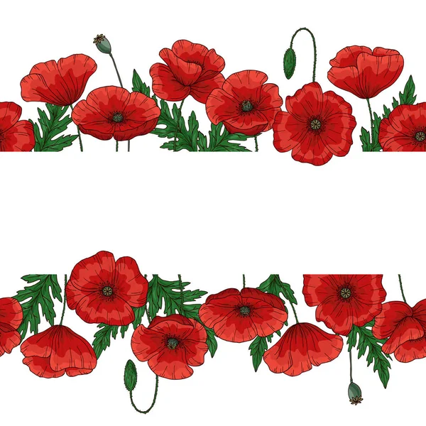 Saemless border with red poppy flowers. Papaver. Green stems and leaves. Hand drawn vector illustration. Isolated on white background. — 스톡 벡터